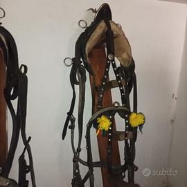 Finimenti cavallo in pelle nera