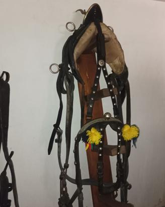 Finimenti cavallo in pelle nera