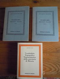 VOCABOLARIO BRESCIANO-ITALIANO+TOPONOMASTICA 3 vol