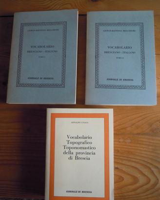 VOCABOLARIO BRESCIANO-ITALIANO+TOPONOMASTICA 3 vol