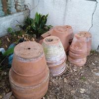 vari vasi per piante di grandi dimensioni 