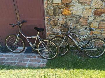 n 2 mountain bike marca Shadow 