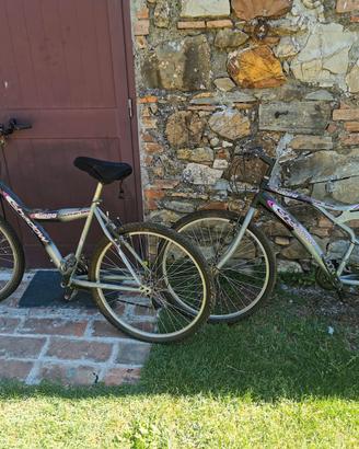 n 2 mountain bike marca Shadow 