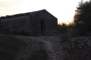 Terreno mandorleto uliveto con ruderi