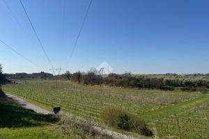 TERRENO A BARDOLINO