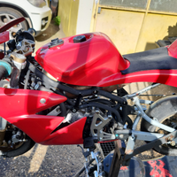 Mini moto replica DM