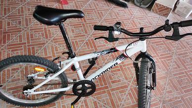 Mountain bike rokrider bici 100€