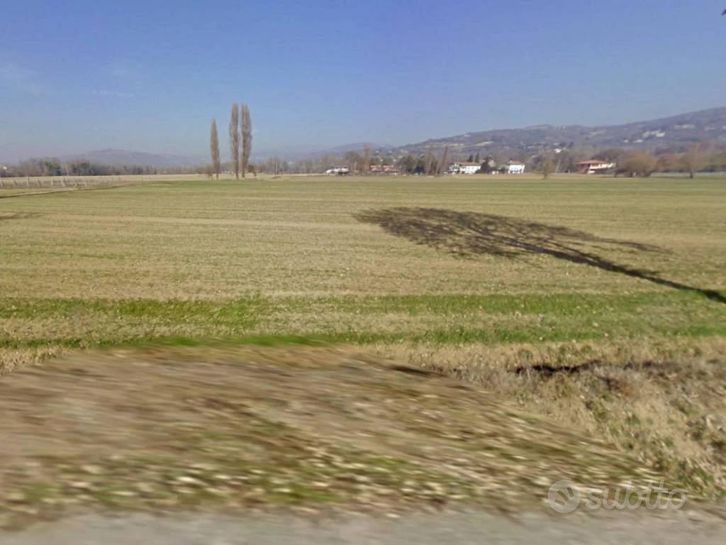 Immobile in asta di 15990 m² a Assisi - Vista 5