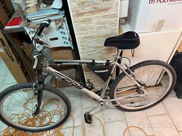 Bici moutnain bike