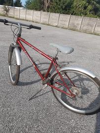 bicicletta Longway Extreme 4000