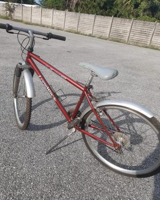 bicicletta Longway Extreme 4000