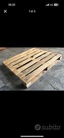 Pallet 120x100cm