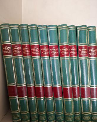 Enciclopedia