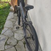 Bianchi per ragazzi