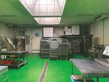 CAPANNONE A AZZANO SAN PAOLO