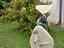 Immagine 2