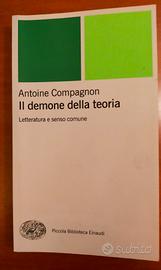 il demone della teoria 