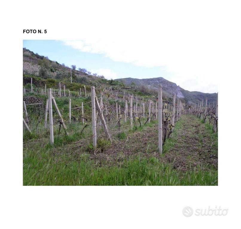 Immobile in asta di 9980 m² a Scaletta Zanclea - Vista 5