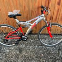 Mountain bike