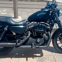 Harley davidson 2013 sportser 883 Iron