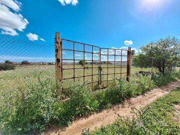 Località Su pezzu mannu