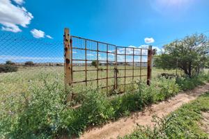 Località Su pezzu mannu