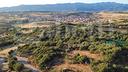terreno-agricolo-oschiri-cod-rif-3328729vrg-