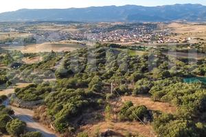 Terreno Agricolo Oschiri [Cod. rif 3328729VRG]