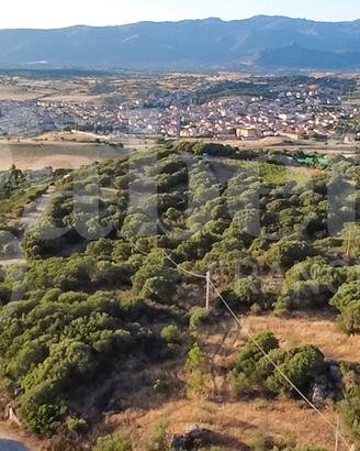 Terreno Agricolo Oschiri [Cod. rif 3328729VRG]