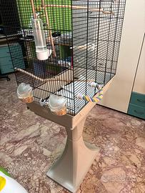 Gabbia per pappagalli