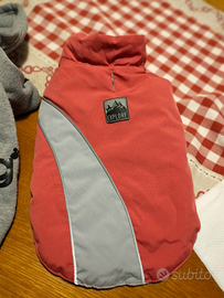 Cappottino cane