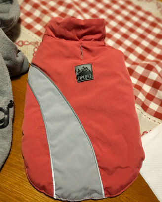 Cappottino cane
