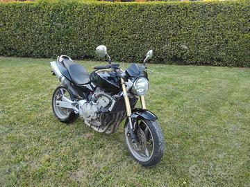 Honda Hornet 600 anno 2005