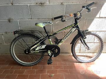 Bicicletta MTB. bambino