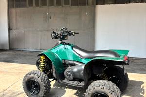 Polaris scrumbler 500