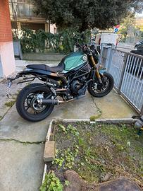 Benelli leoncino 800