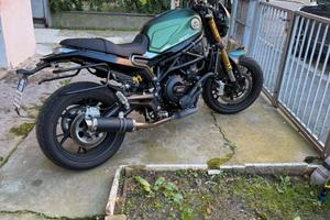 Benelli leoncino 800