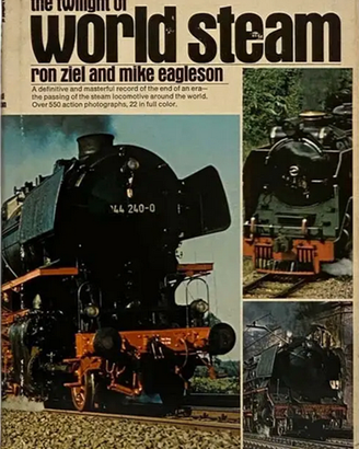 The Twilight of World Steam