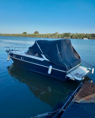 Sidra futura 21
