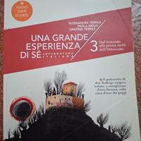 Libro letteratura italiana per liceo scientifico