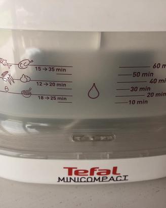 Vaporiera Tefal minicompact