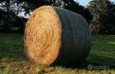 Rotoballe