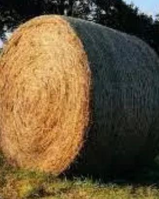 Rotoballe