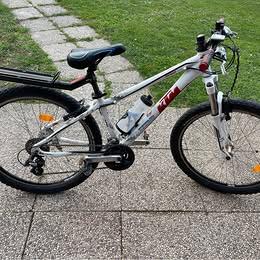 Mountain Bike con ruote da 26 x 2.10 in alluminio