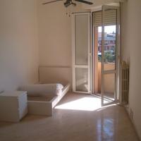 Stanza singola grande Modena zona viali