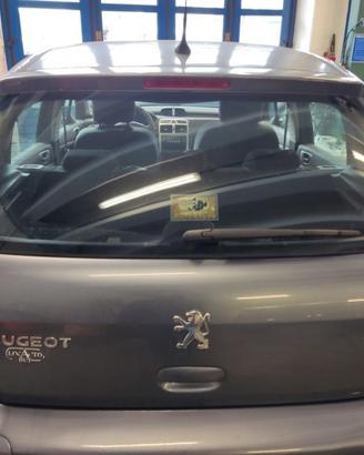 Portellone nudo PEUGEOT 307 del 2006