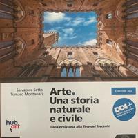 Libro Storia dell’arte