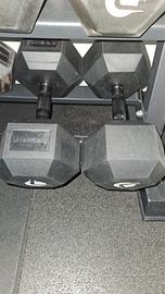 manubri lacertosus 27,5