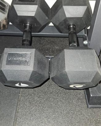 manubri lacertosus 27,5