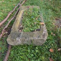 vasca antica giardino